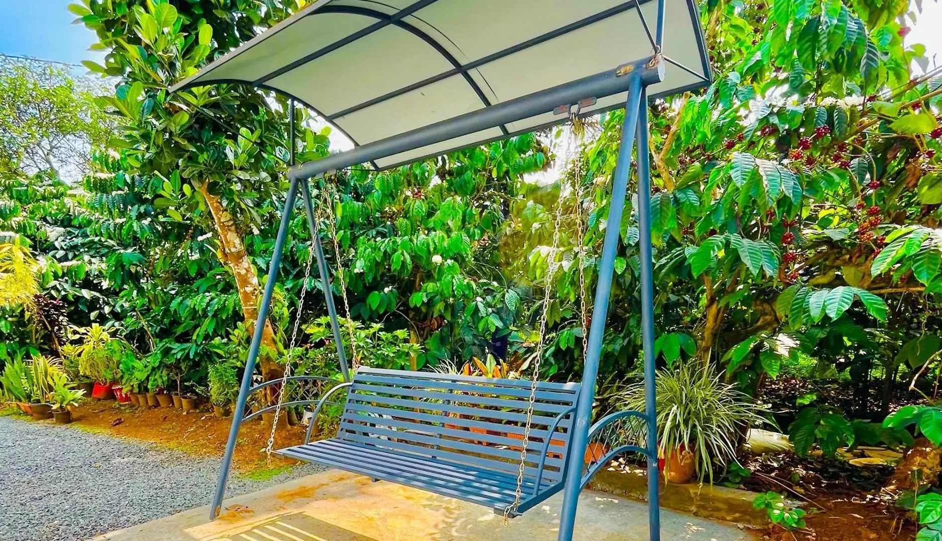 Sahyadri Homestay Wayanad Kalpetta